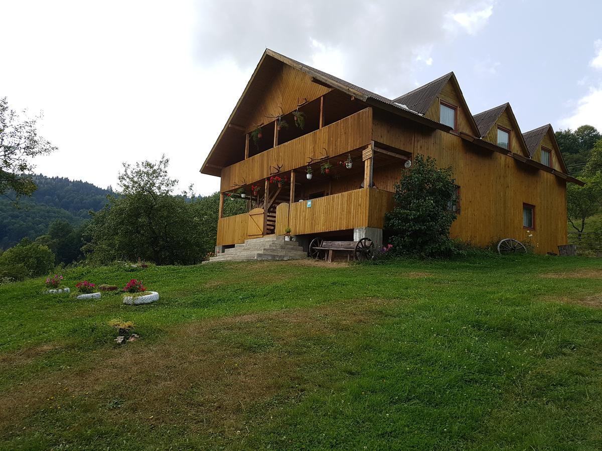 Cabana Suciu Villa Rachitele Exterior photo